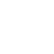 Victory Lane Ecommerce